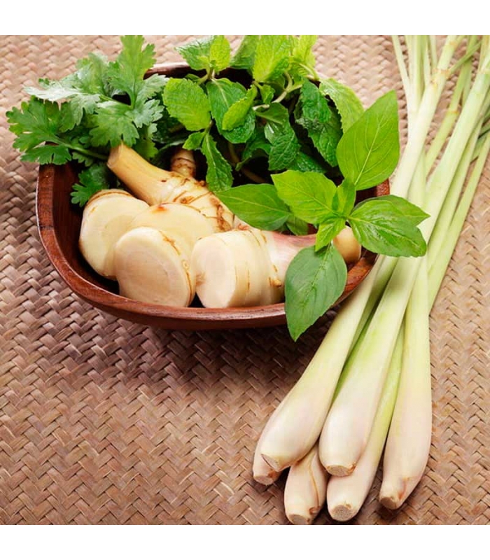 Ingredientes para elaborar el aliñasor lemongrass Desiam. Delicat Gourmet